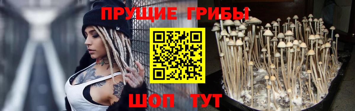 Галлюциногенные грибы Cubensis Усть-Илимск